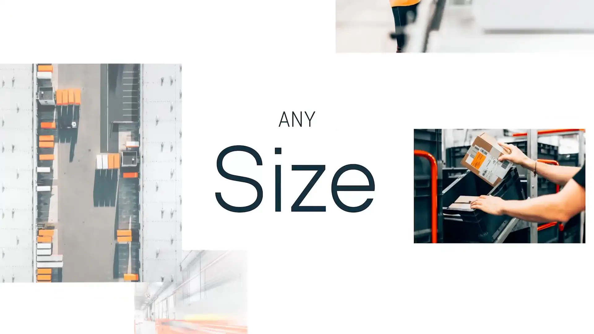 BarTender Reel Cover